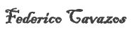 A black and white image of the word chico.